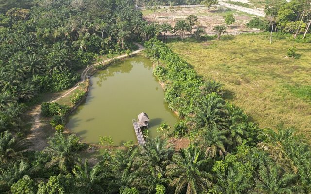 Lufasi Nature Park